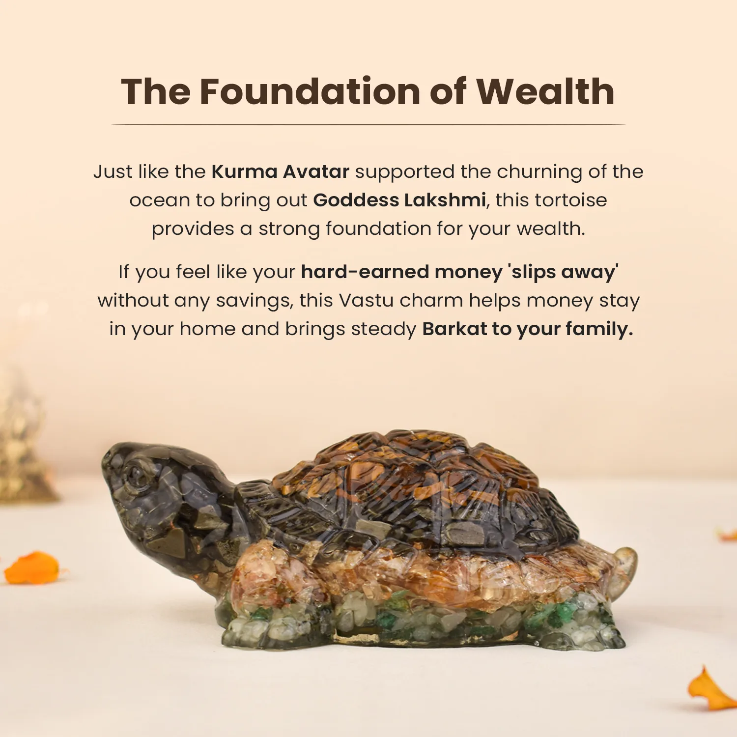 Collector’s Edition Vastu Dhan Yog Tortoise (Big size) - Image 6