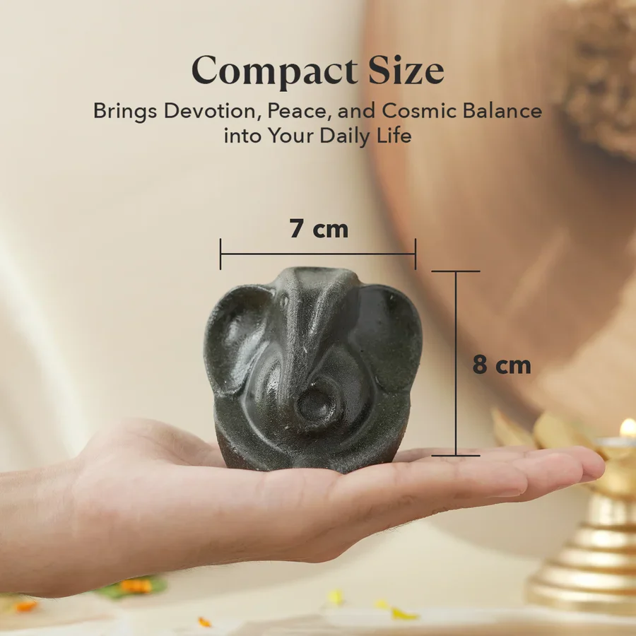 Sampoorna Ganesha Pyrite Combo - Image 5