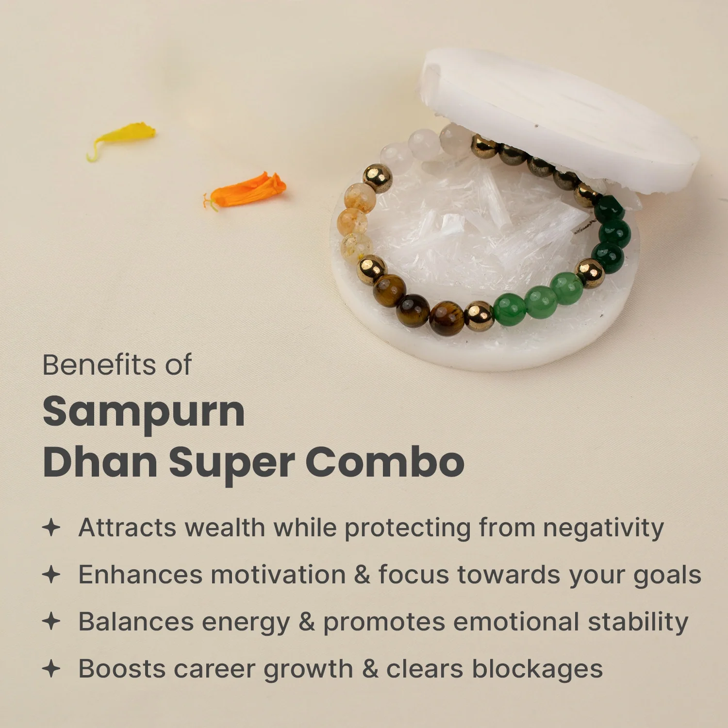 Sampurn Dhan Super Combo with Double Raw Selenite Plate - Image 5