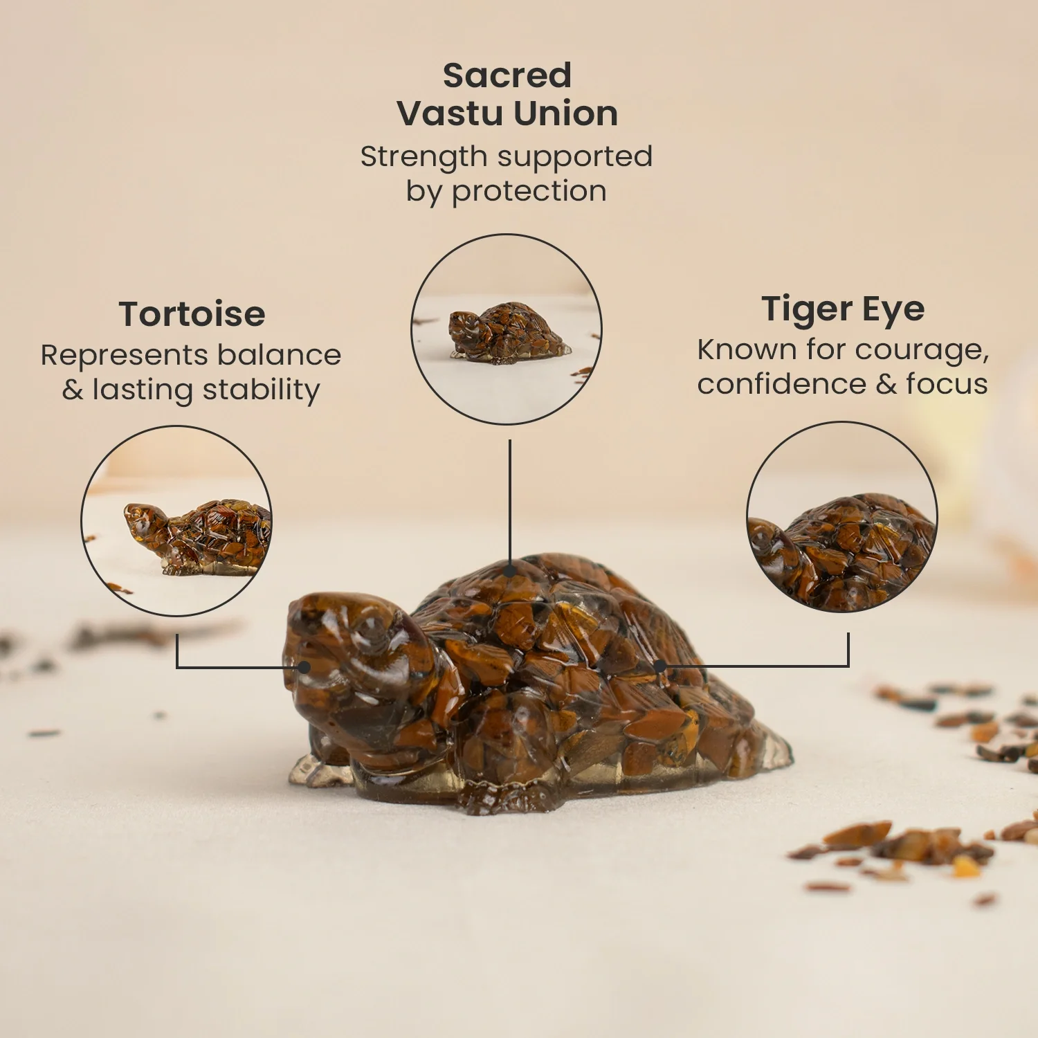 Vastu Tiger Eye Tortoise (Kachhua) - Image 5