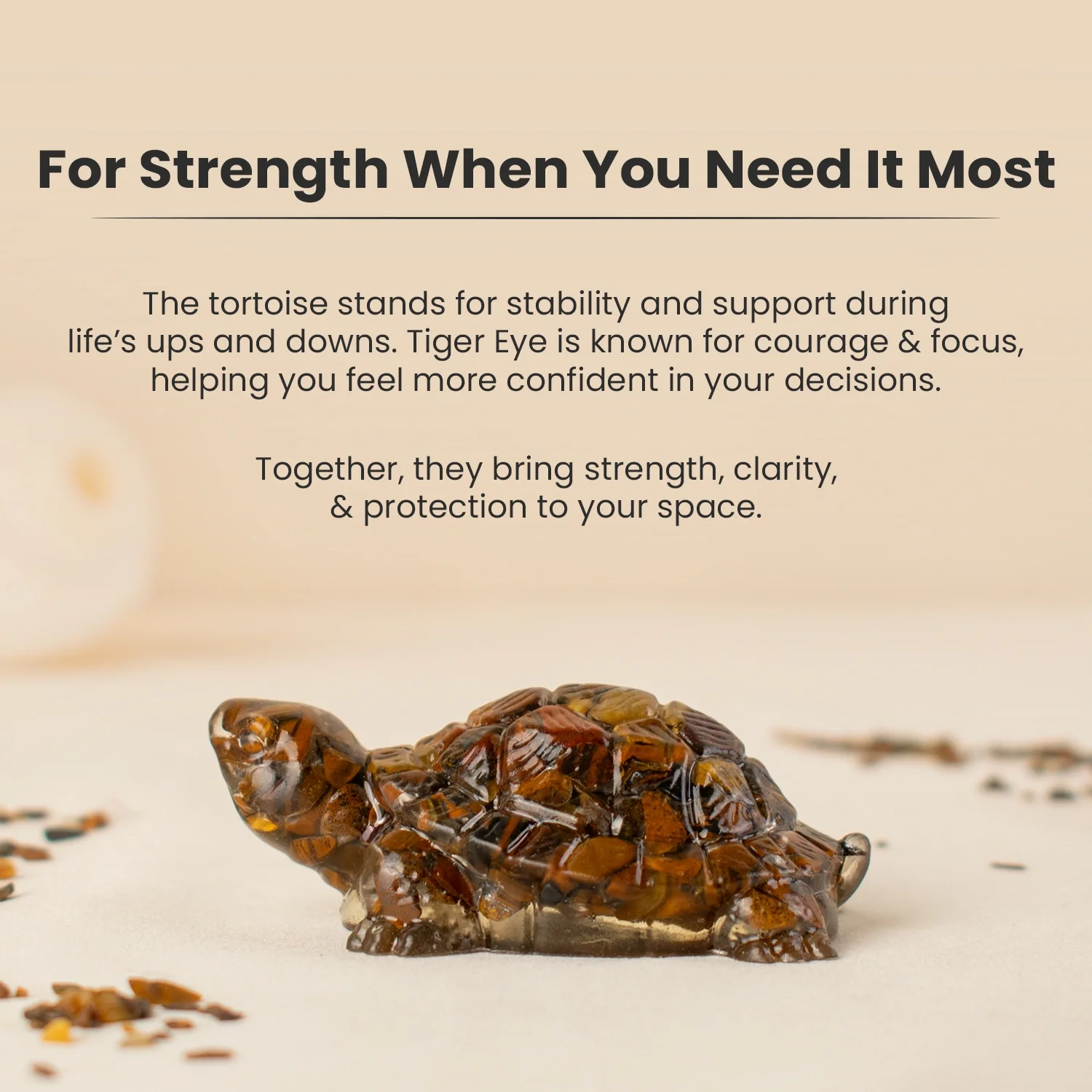 Vastu Tiger Eye Tortoise (Kachhua) - Image 6