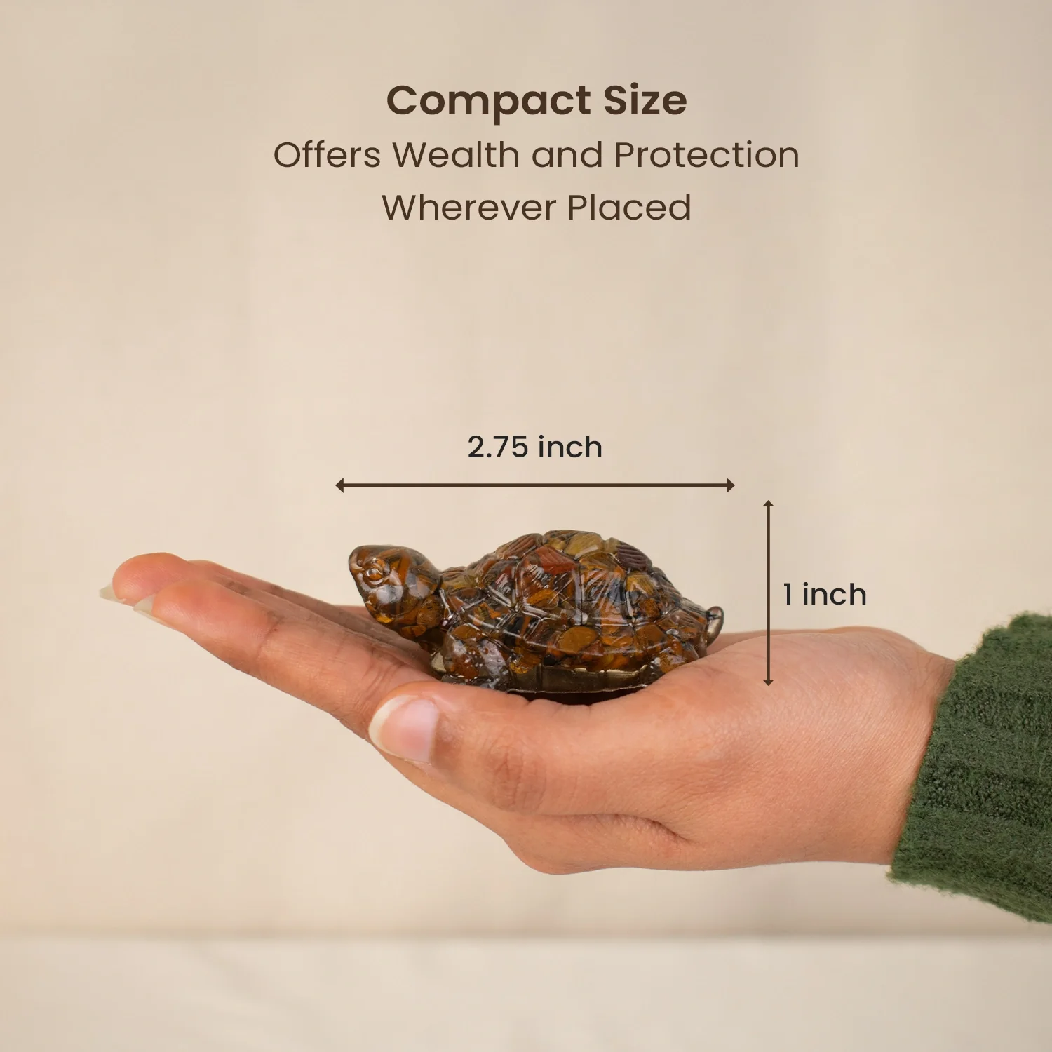 Vastu Tiger Eye Tortoise (Kachhua) - Image 8