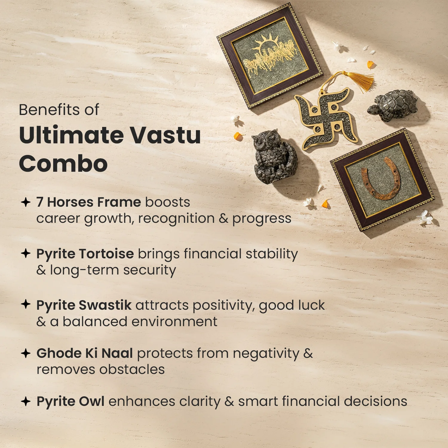 Ultimate Vastu Combo - Image 5