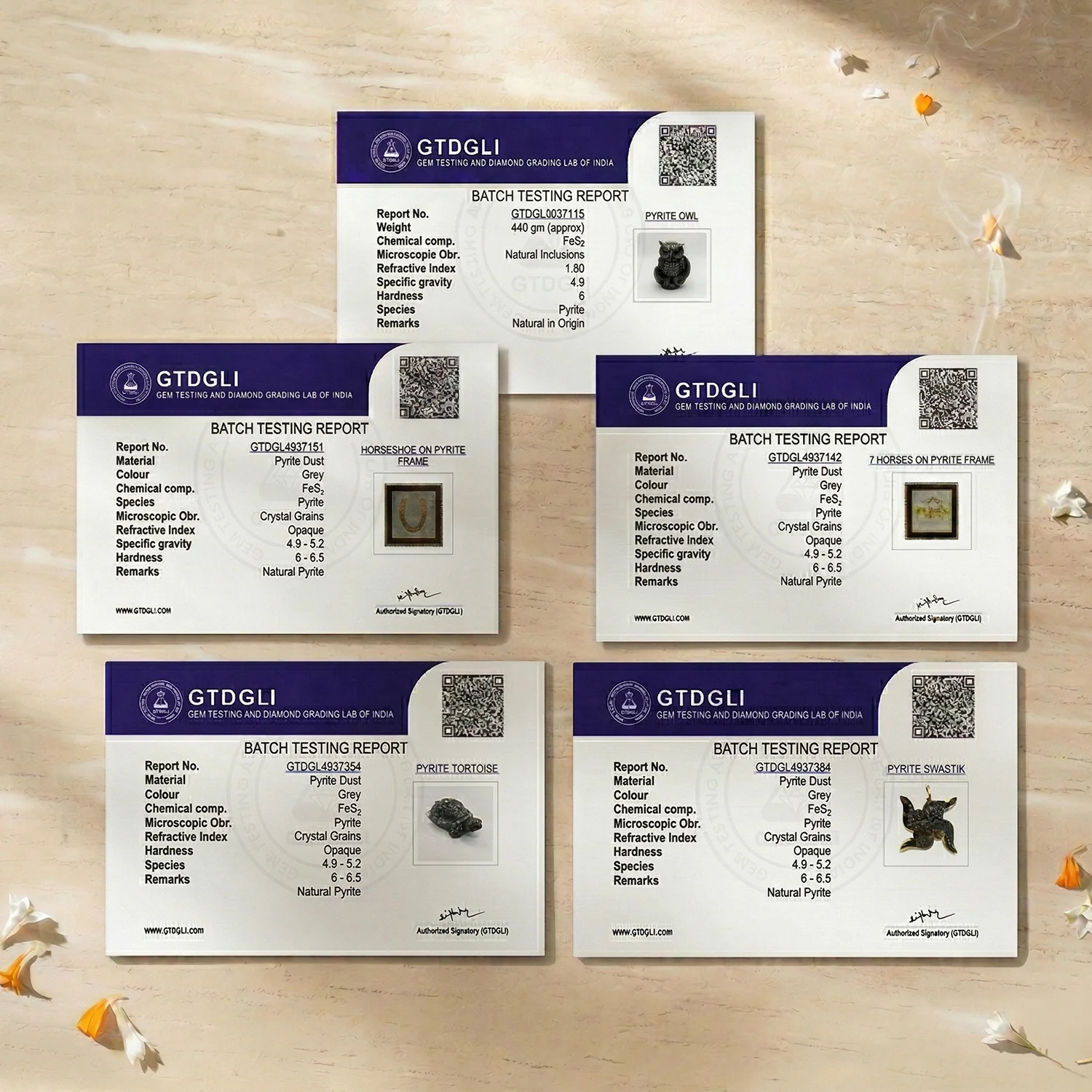 Ultimate Vastu Combo - Image 6