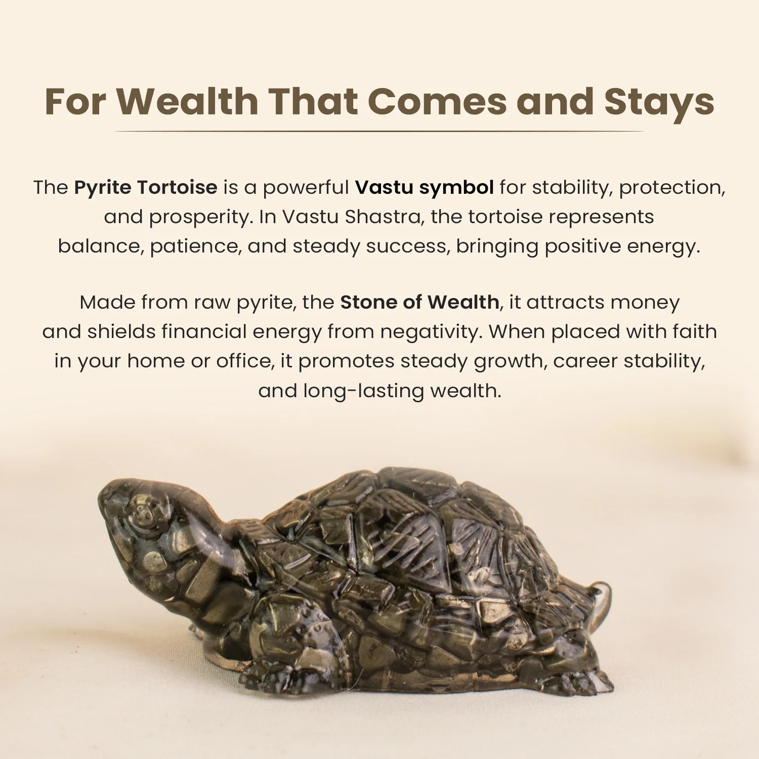 Collector’s Edition Pyrite Tortoise (Kachhua) - Big Size - 8x heavier - Image 3
