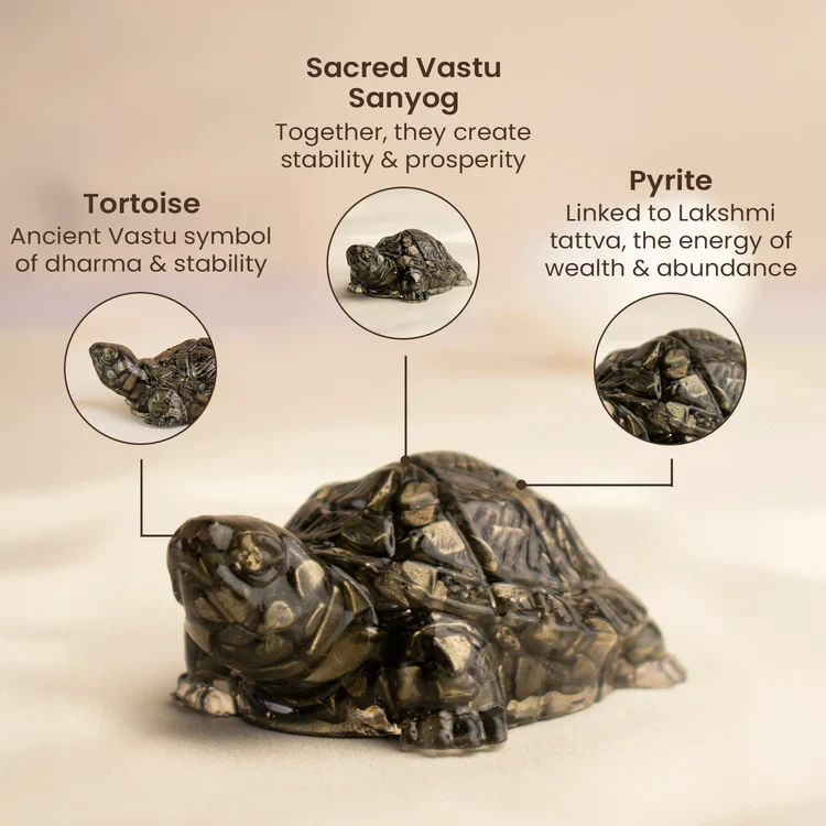 Vastu Pyrite Tortoise Combo – Small Kachhua with Big Kachhua - Image 6