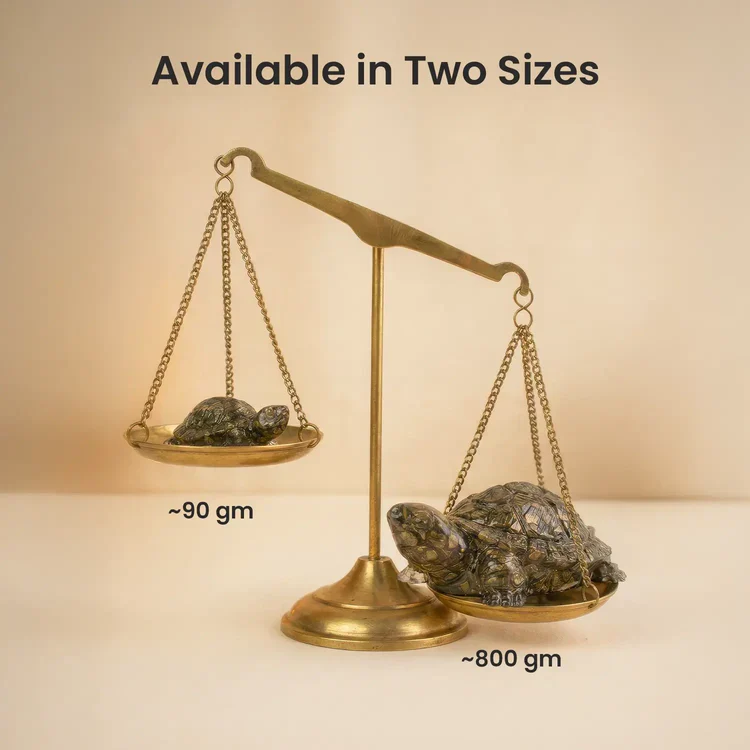 Vastu Pyrite Tortoise (Pack of 2) - Image 9