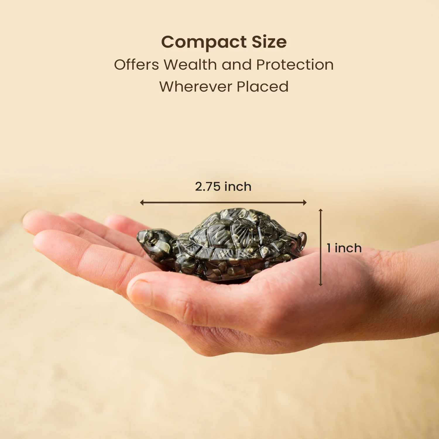 Vastu Pyrite Wealth & Wisdom Combo - Image 9
